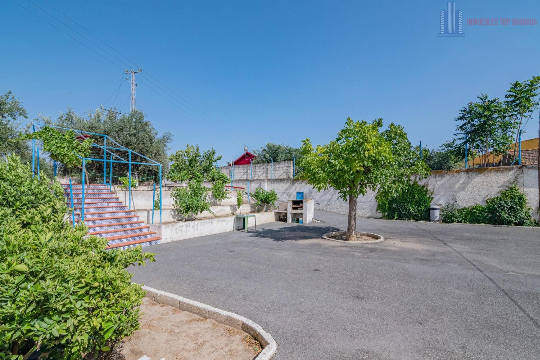 For sale of cellar in Alhendín