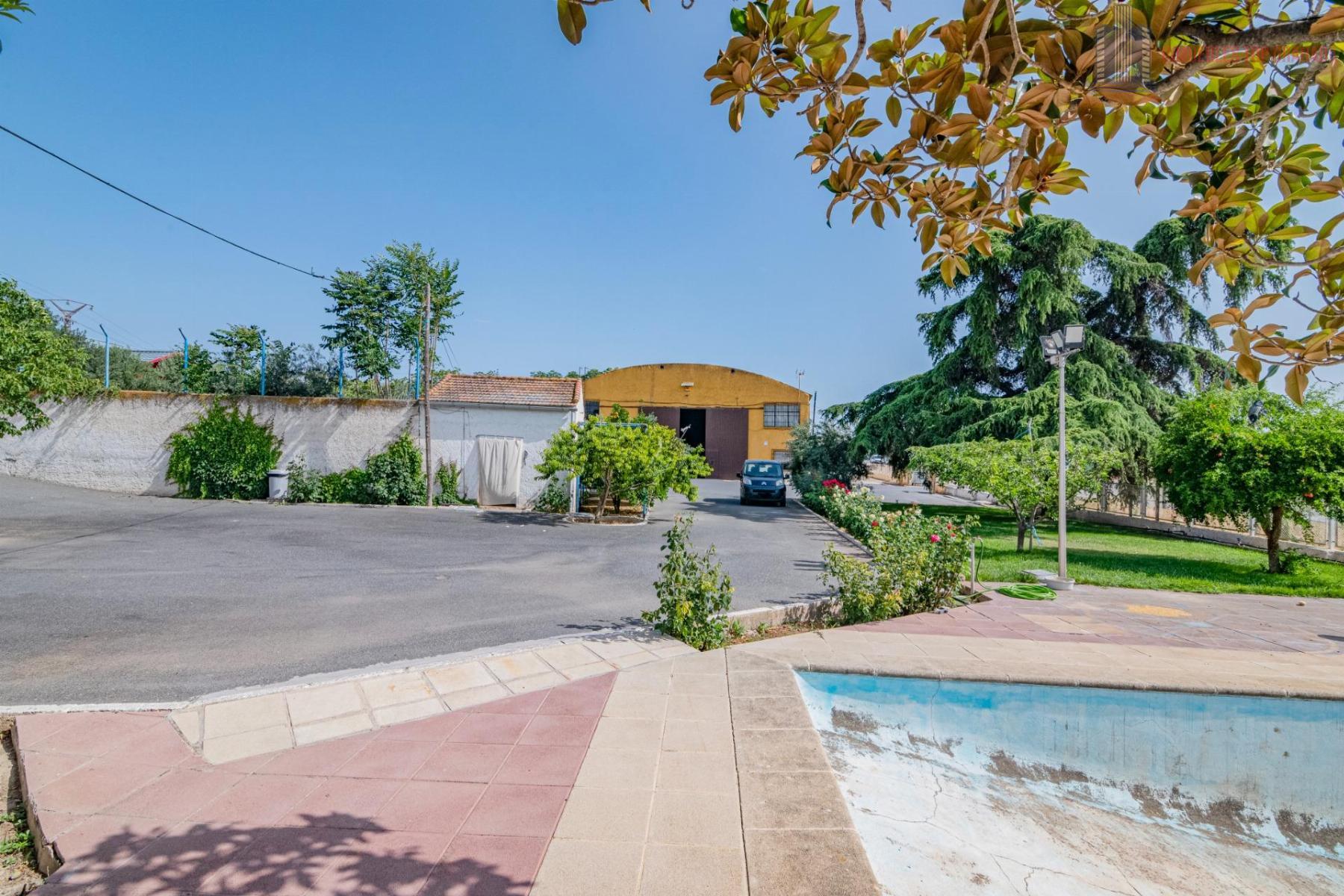 For sale of cellar in Alhendín