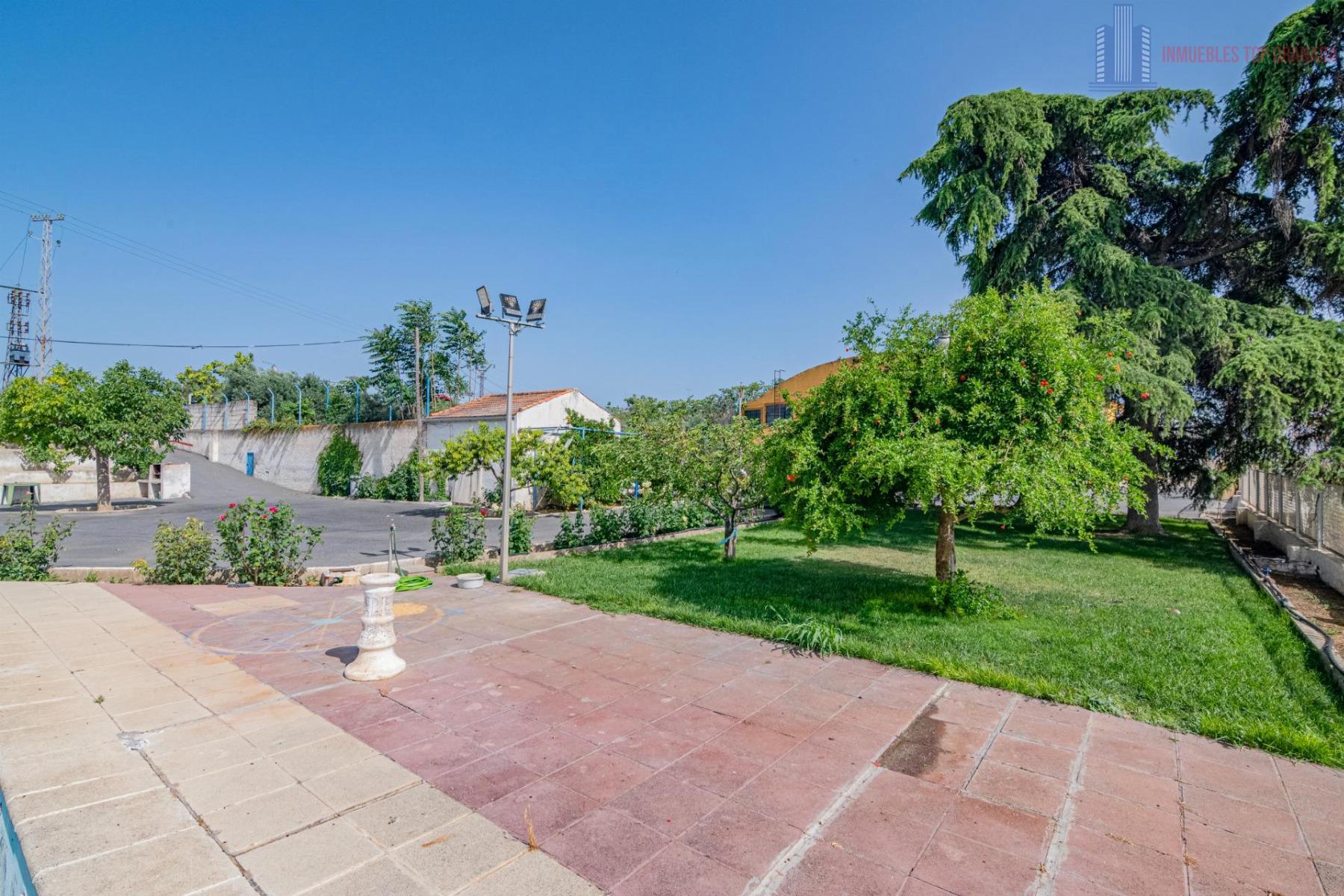 For sale of cellar in Alhendín