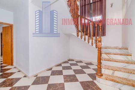 For sale of house in Illora