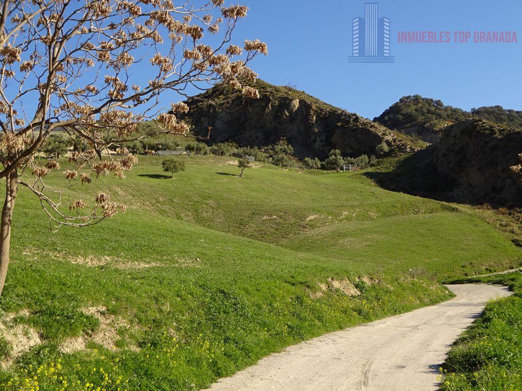 Venta de finca rústica en Monachil