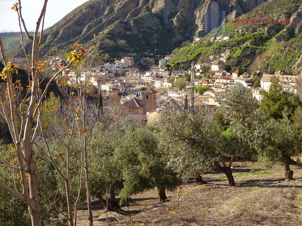 Venta de finca rústica en Monachil