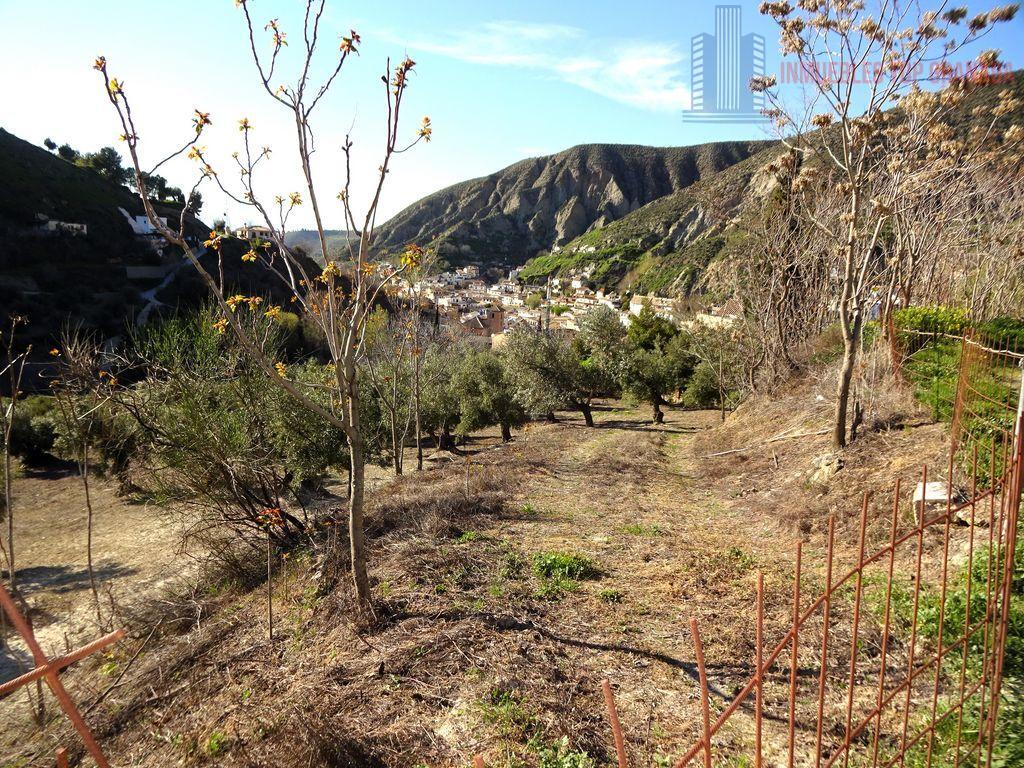 Venta de finca rústica en Monachil