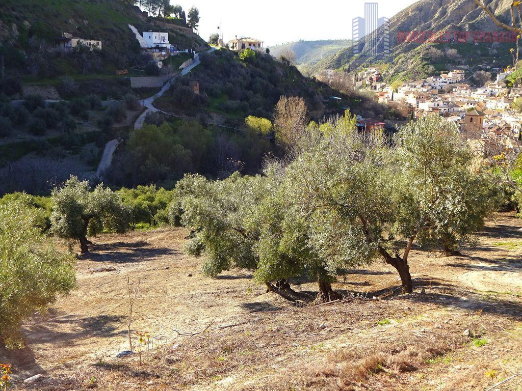 Venta de finca rústica en Monachil