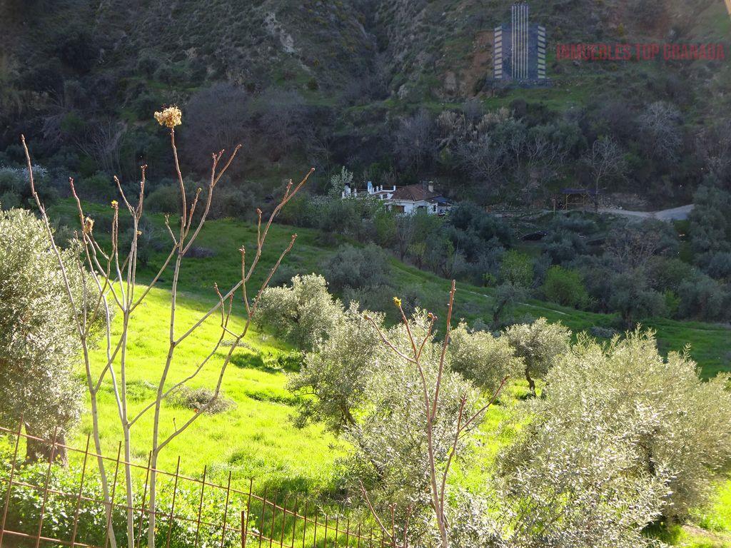 Venta de finca rústica en Monachil