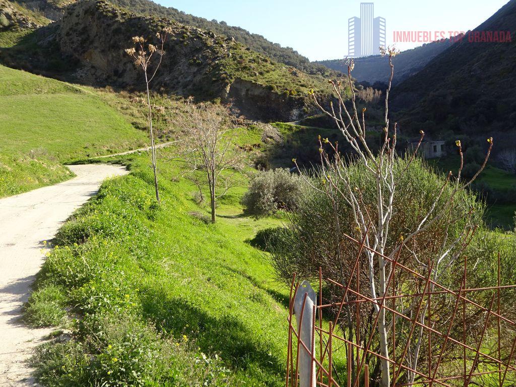 Venta de finca rústica en Monachil