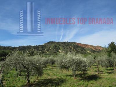 Venta de terreno en Cenes de la Vega