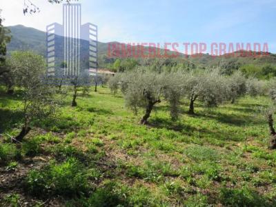 Venta de terreno en Cenes de la Vega