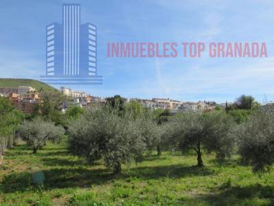 Venta de terreno en Cenes de la Vega