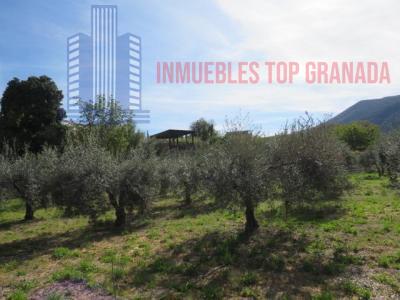 Venta de terreno en Cenes de la Vega