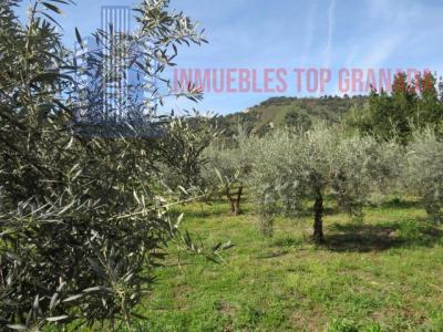 Venta de terreno en Cenes de la Vega