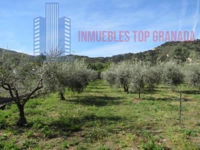 Venta de terreno en Cenes de la Vega