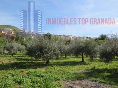 Venta de terreno en Cenes de la Vega