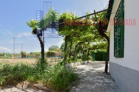 Venta de finca rústica en Fuente Vaqueros