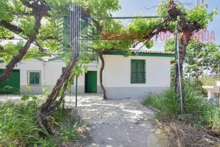 Venta de finca rústica en Fuente Vaqueros