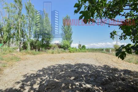 Venta de finca rústica en Fuente Vaqueros