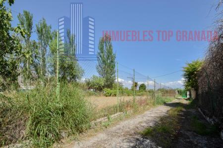 Venta de finca rústica en Fuente Vaqueros