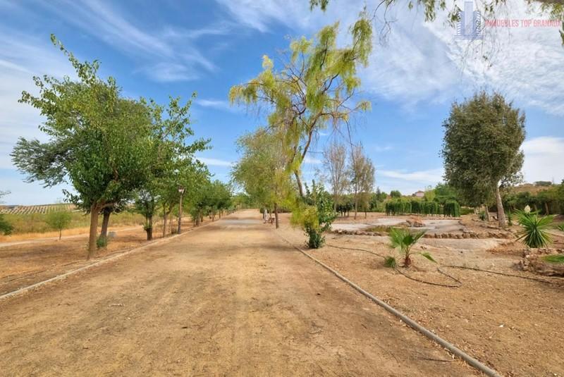 Venta de terreno en Dílar