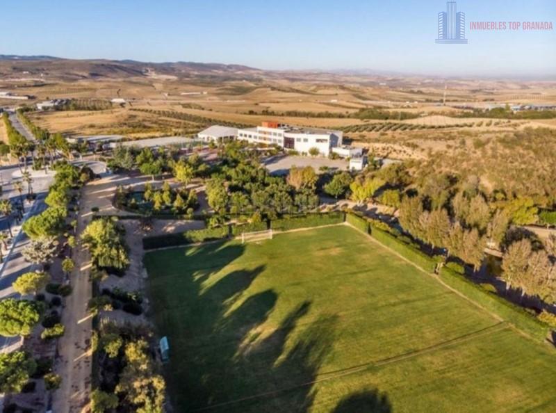 Venta de terreno en Dílar