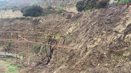 Venta de finca rústica en Lecrín