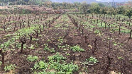 Venta de finca rústica en Lecrín