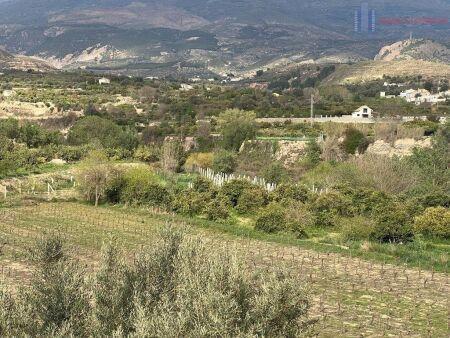 Venta de finca rústica en Lecrín