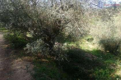 Venta de finca rústica en Lecrín