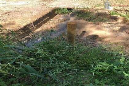 Venta de finca rústica en Lecrín