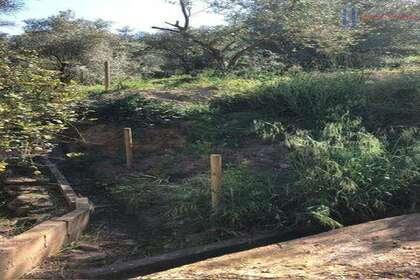 Venta de finca rústica en Lecrín