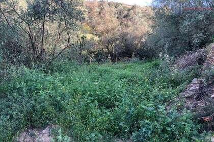 Venta de finca rústica en Lecrín