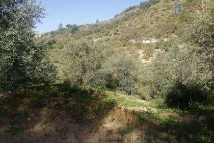 Venta de finca rústica en Lecrín