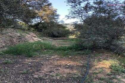 Venta de finca rústica en Lecrín