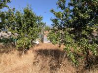 Venta de terreno en Alhendín