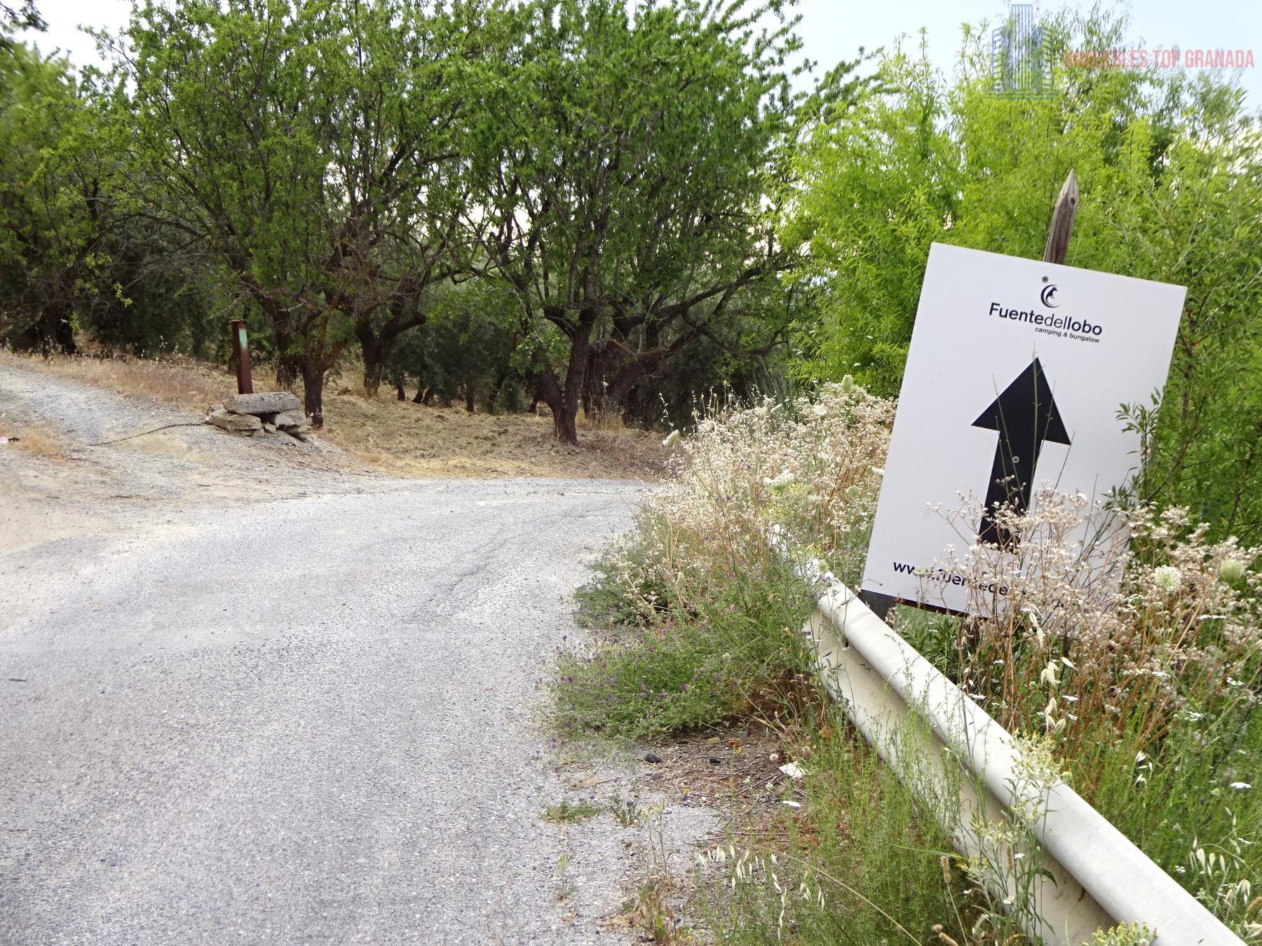 Venta de finca rústica en Pinos Genil