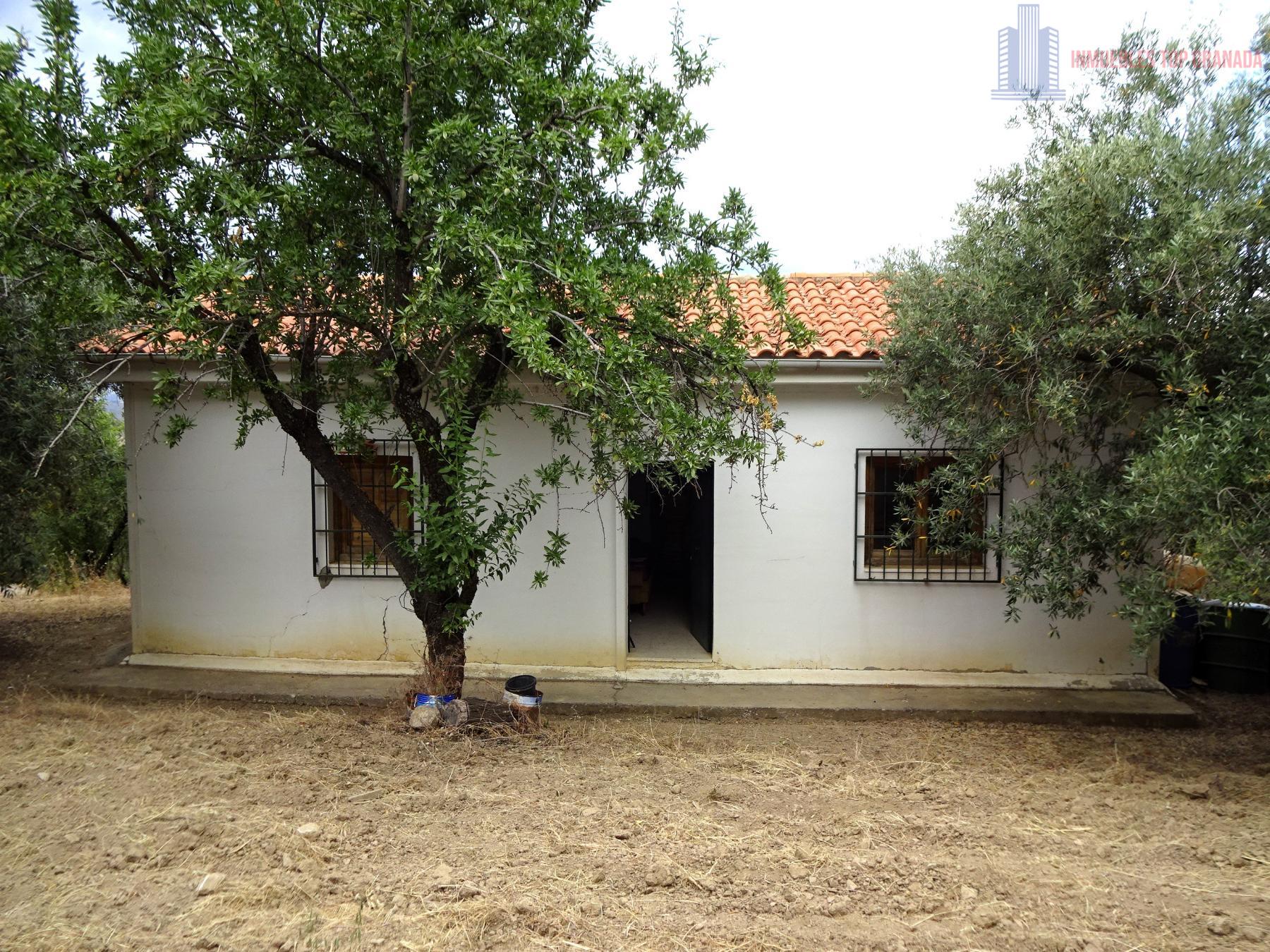 Venta de finca rústica en Pinos Genil