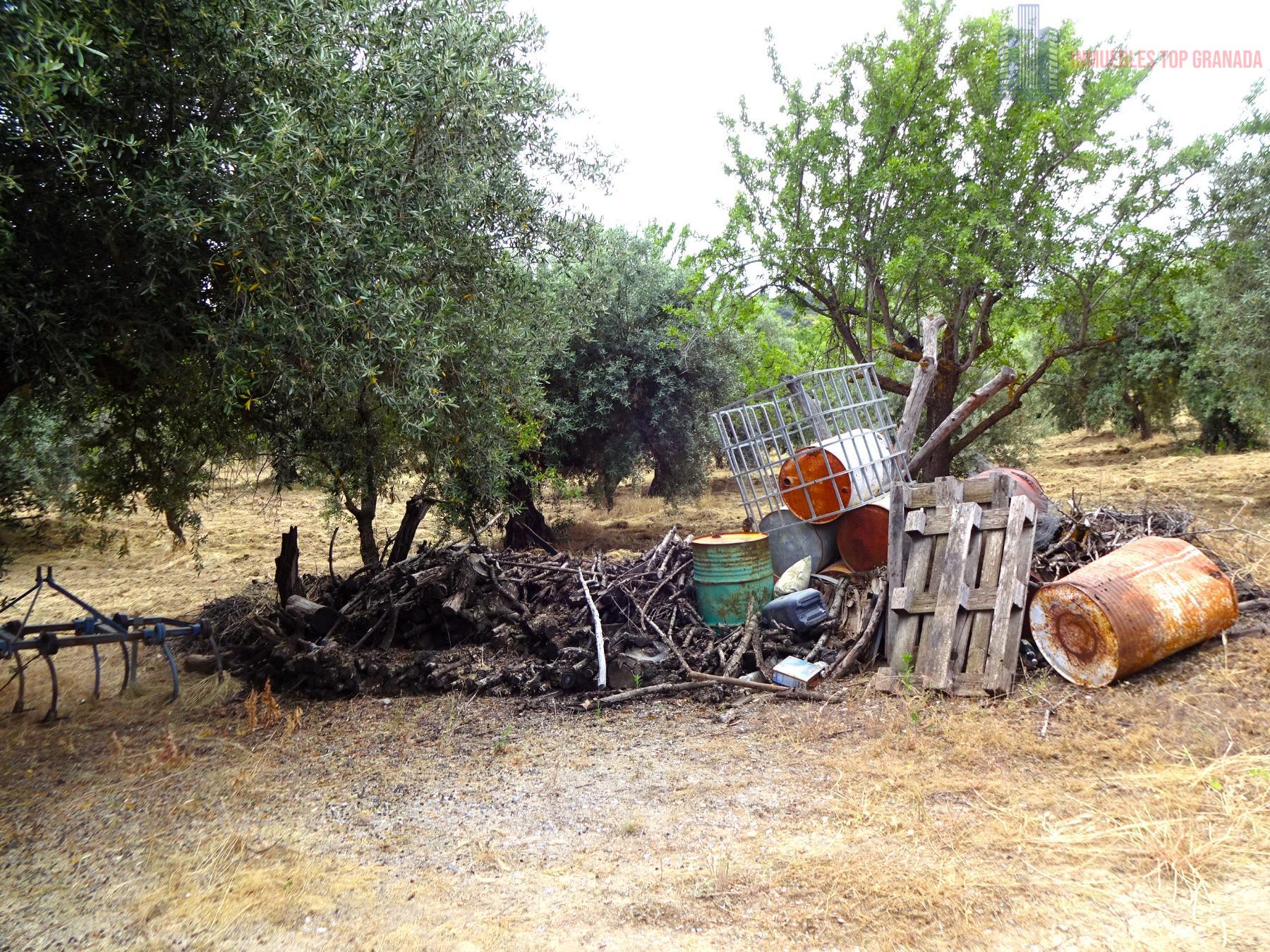 Venta de finca rústica en Pinos Genil
