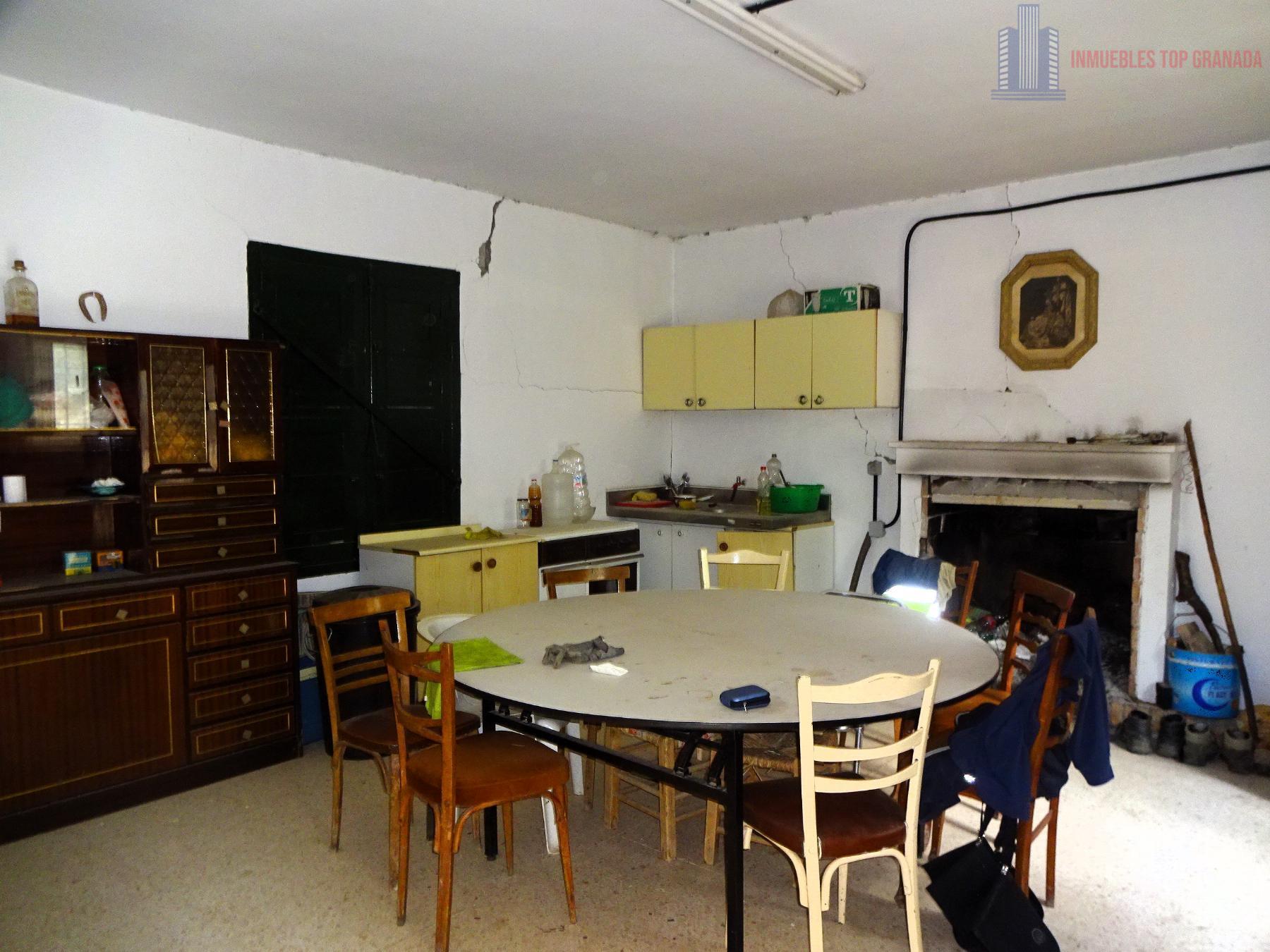 Venta de finca rústica en Pinos Genil