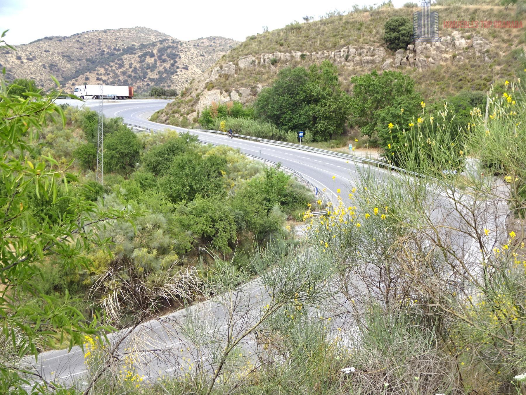 Venta de finca rústica en Pinos Genil
