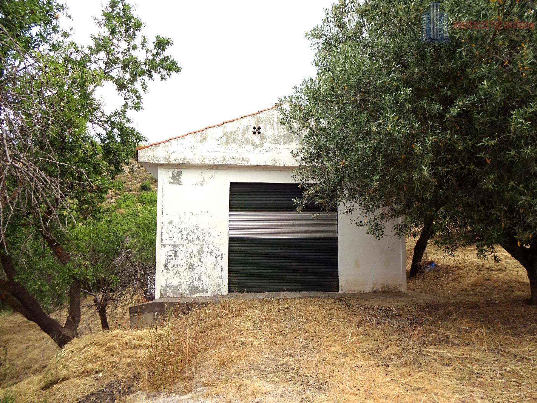Venta de finca rústica en Pinos Genil