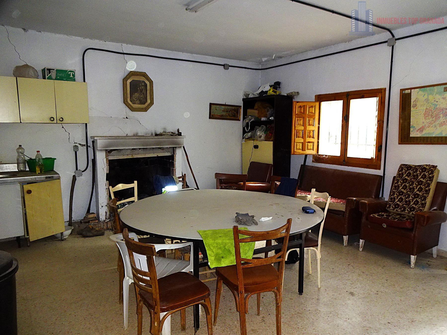 Venta de finca rústica en Pinos Genil