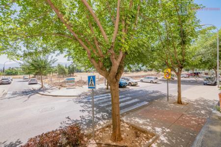 Venta de piso en Alhendín
