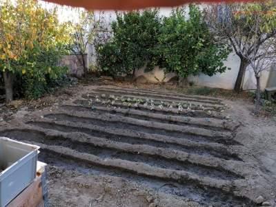Venta de chalet en Alhendín