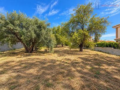 Venta de terreno en Cúllar Vega