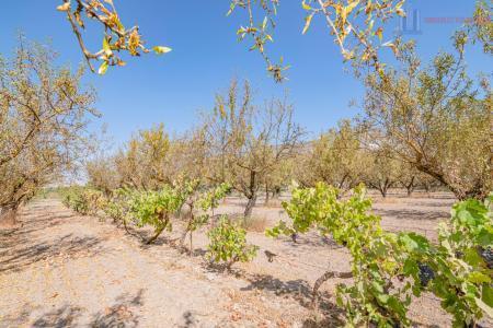 Venta de finca rústica en Dúrcal