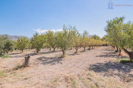Venta de finca rústica en Dúrcal