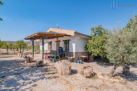 Venta de finca rústica en Dúrcal