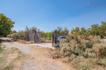 Venta de finca rústica en Dúrcal