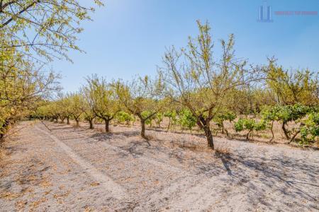 Venta de finca rústica en Dúrcal