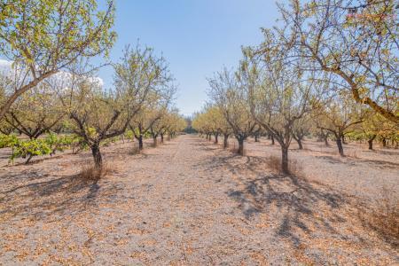 Venta de finca rústica en Dúrcal