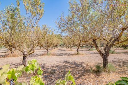 Venta de finca rústica en Dúrcal